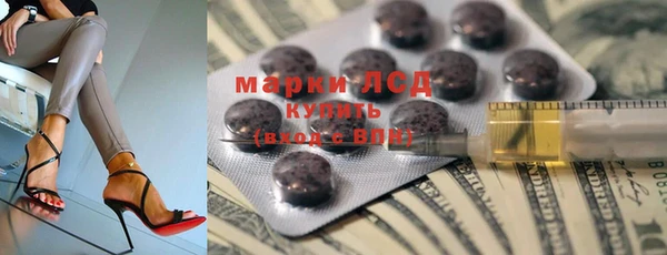 прущие грибы Елизово