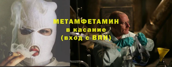 прущие грибы Елизово