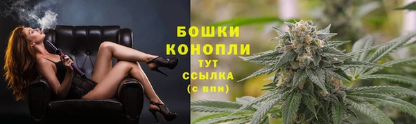твердый Ельня