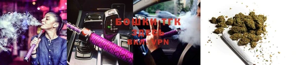 твердый Ельня