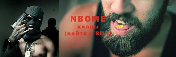 твердый Ельня