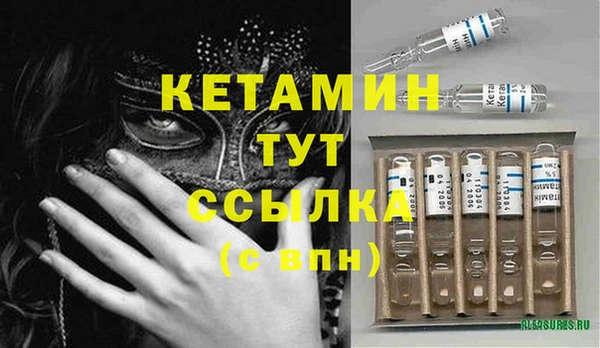 прущие грибы Елизово