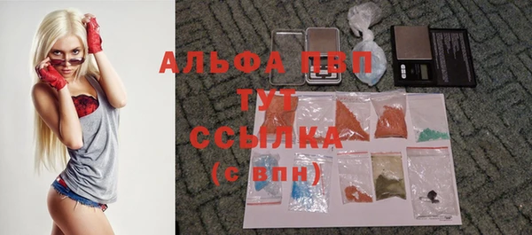 прущие грибы Елизово
