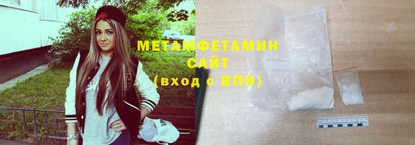 прущие грибы Елизово