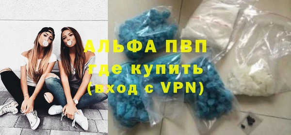 прущие грибы Елизово