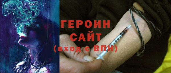 гидра Инта